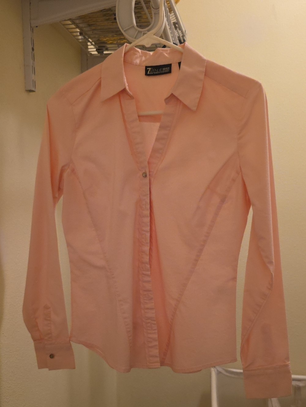 Women's Pale Pink Button-Down Shirt